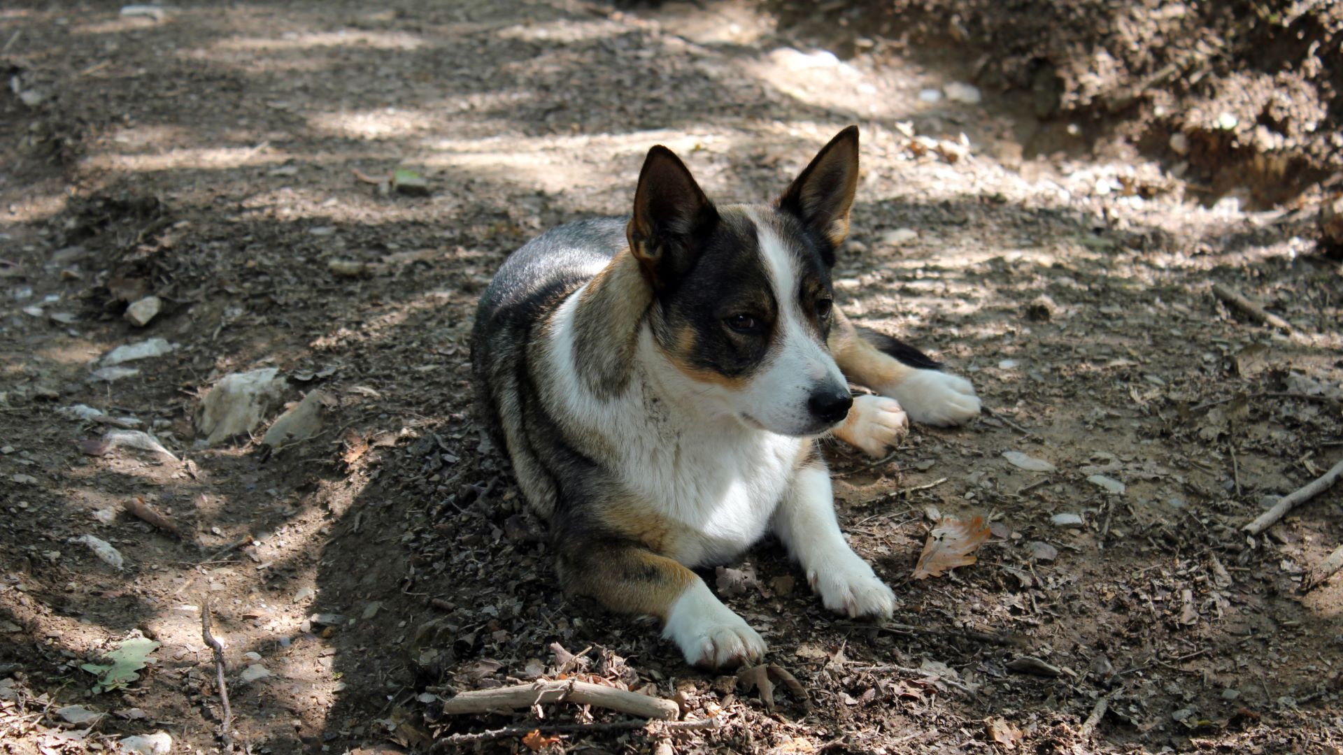 2010 Ardennen (66)